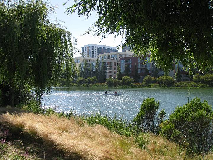 Canoe-on-Mission-Creek-w-trees-and-condos 8702.jpg