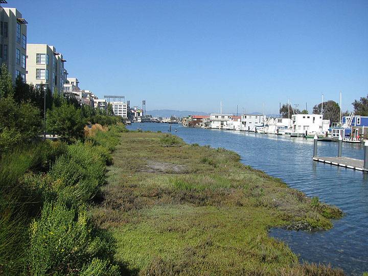 Mission-Creek-restoration-north-bank-looking-east-2010 3532.jpg