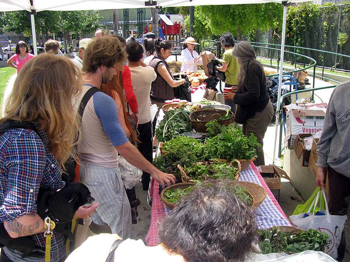 Free-farm-stand-greens 7954.jpg