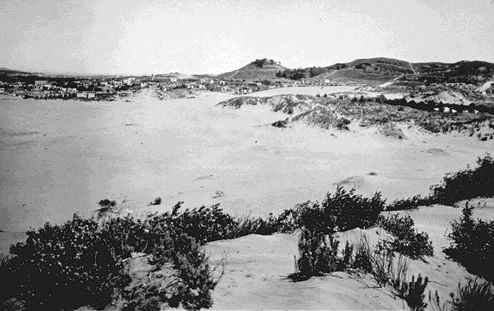 Richmond dunes looking towards lone mtn late 19th c.jpg