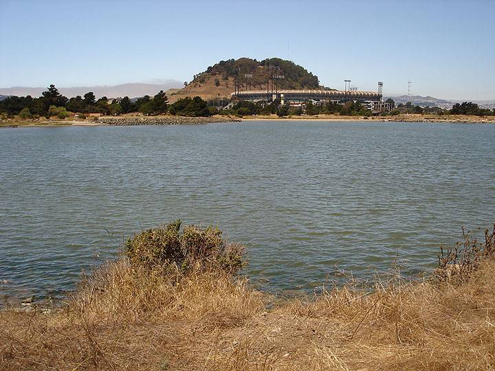 West-view-from-cpsra-towards-stadium-and-Bayview-hill-0940.jpg