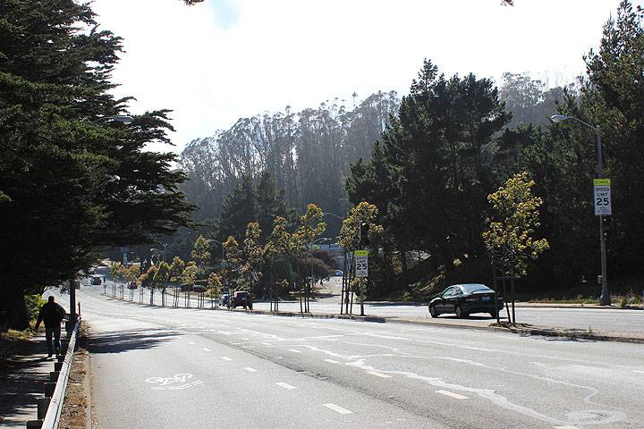 Portola-drive-2014 2914.jpg