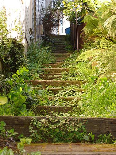 Acme-alley-steps0475.jpg