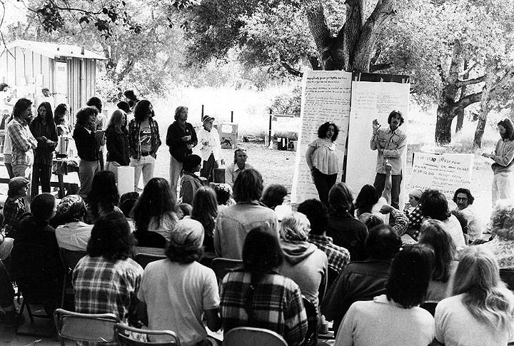 Affinity-group-meeting-under-tree-in-discussion.jpg