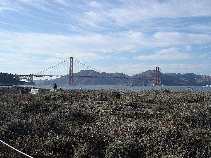 Gg-bridge-w-restored-dunes-in-foreground8019.jpg