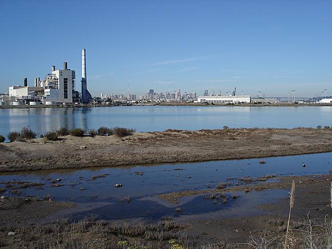 India-basin-power-skyline15.jpg