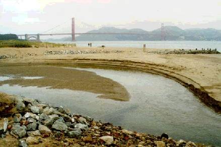 Presidio$crissy-field-wetland-restored.jpg