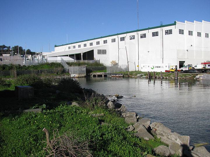 Warm-water-cove-sewer-outlet-at-king-tide 1652.jpg