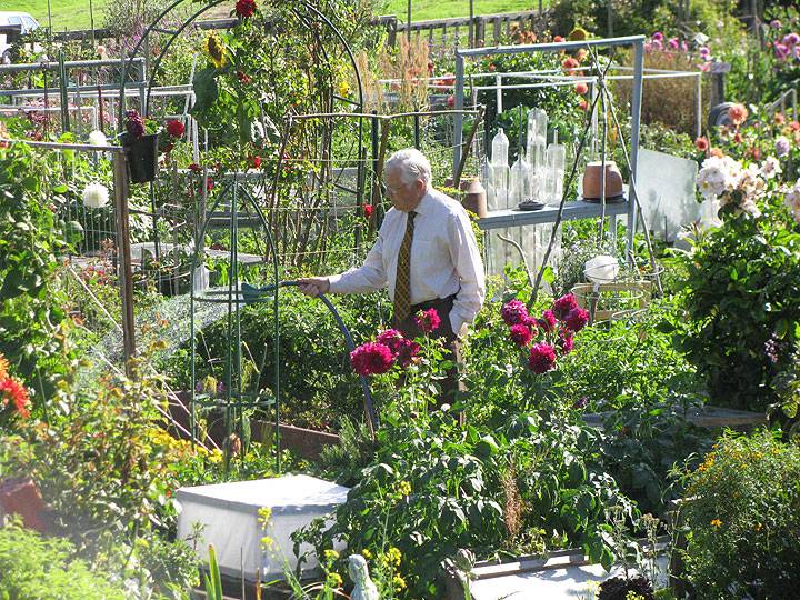 Ft-mason-garden-old-man-watering 1211.jpg