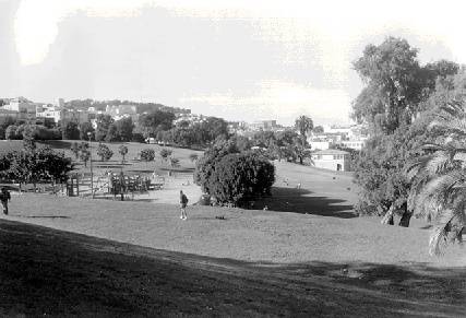 Mission$dolores-park-w-1994.jpg