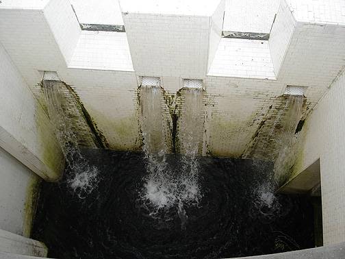 Sunol-water-pouring7285.jpg