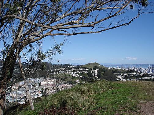 Mt-davidson-view-ne-w-tree-and-downtown1976.jpg