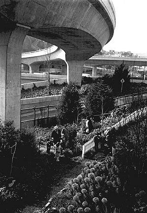 Ecology1$farm-under-freeway.jpg