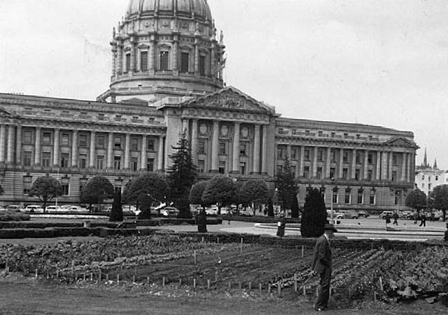 Sfcityhall garden.jpg