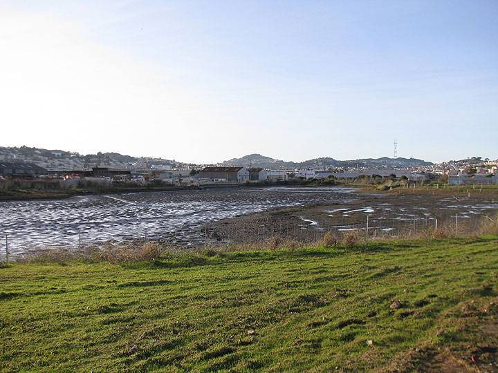 Yosemite-slough-westerly-at-low-tide 1392.jpg