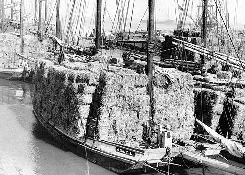 Annie-l-hay-scow.jpg