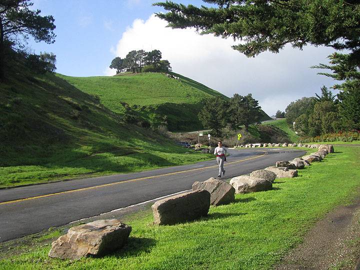 Bernal-Heights-Blvd-very-green-sunny-Jan-2010 5120.jpg