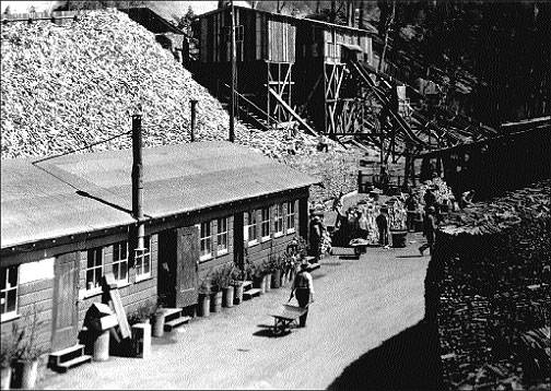 Logging-operations-in-sutro-forest-1934.jpg