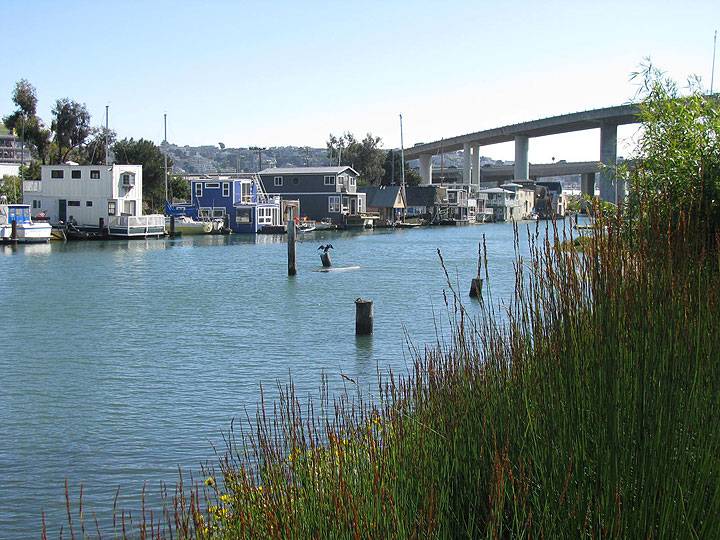 Houseboats-and-cormorants-and-fwy 3518.jpg