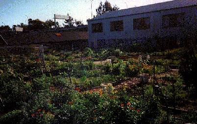 Ecology1$potrero-del-sol-garden.jpg