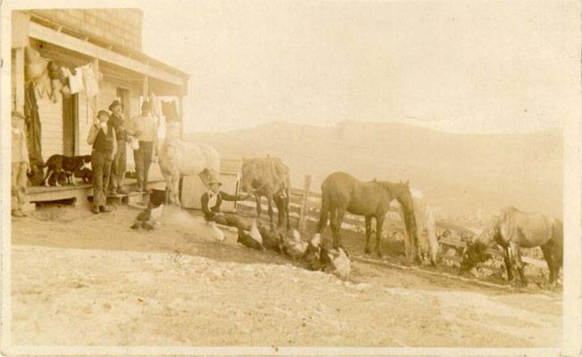 Horses chickens dogs in Visitacion Valley nd AAC-1665.jpg